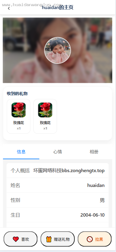 13种语言国际交友5套模板坏蛋网络5.0版本